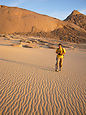  Fondale marino nel Sahara
